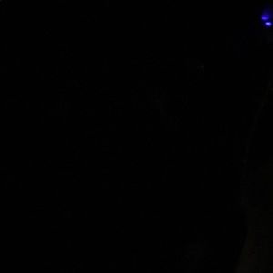 Meet your Posher, Ella